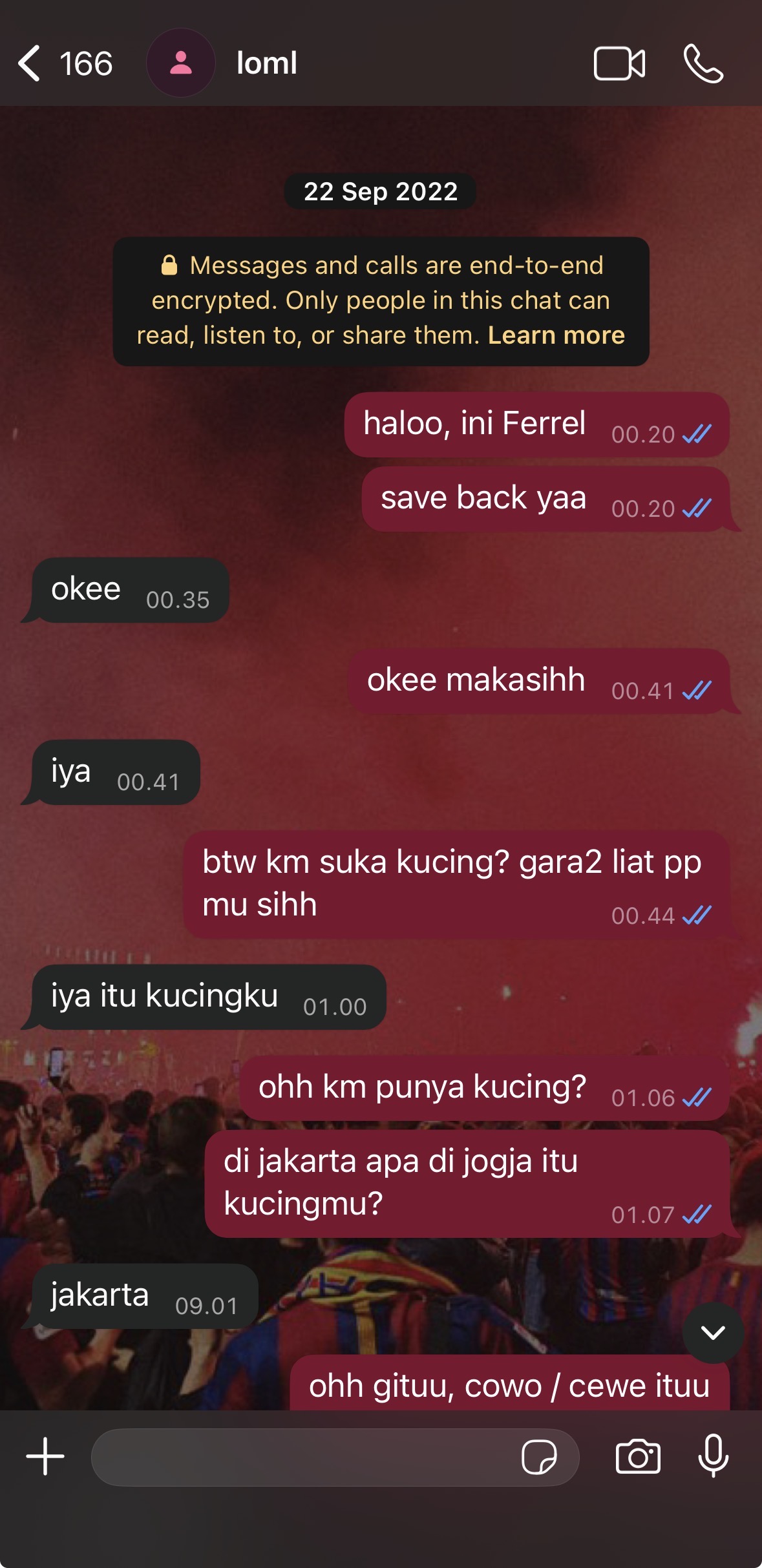 chat pertama di whatsapp